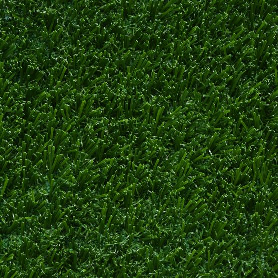 Bolt Landscape turf by Southwest Greens of Fresno